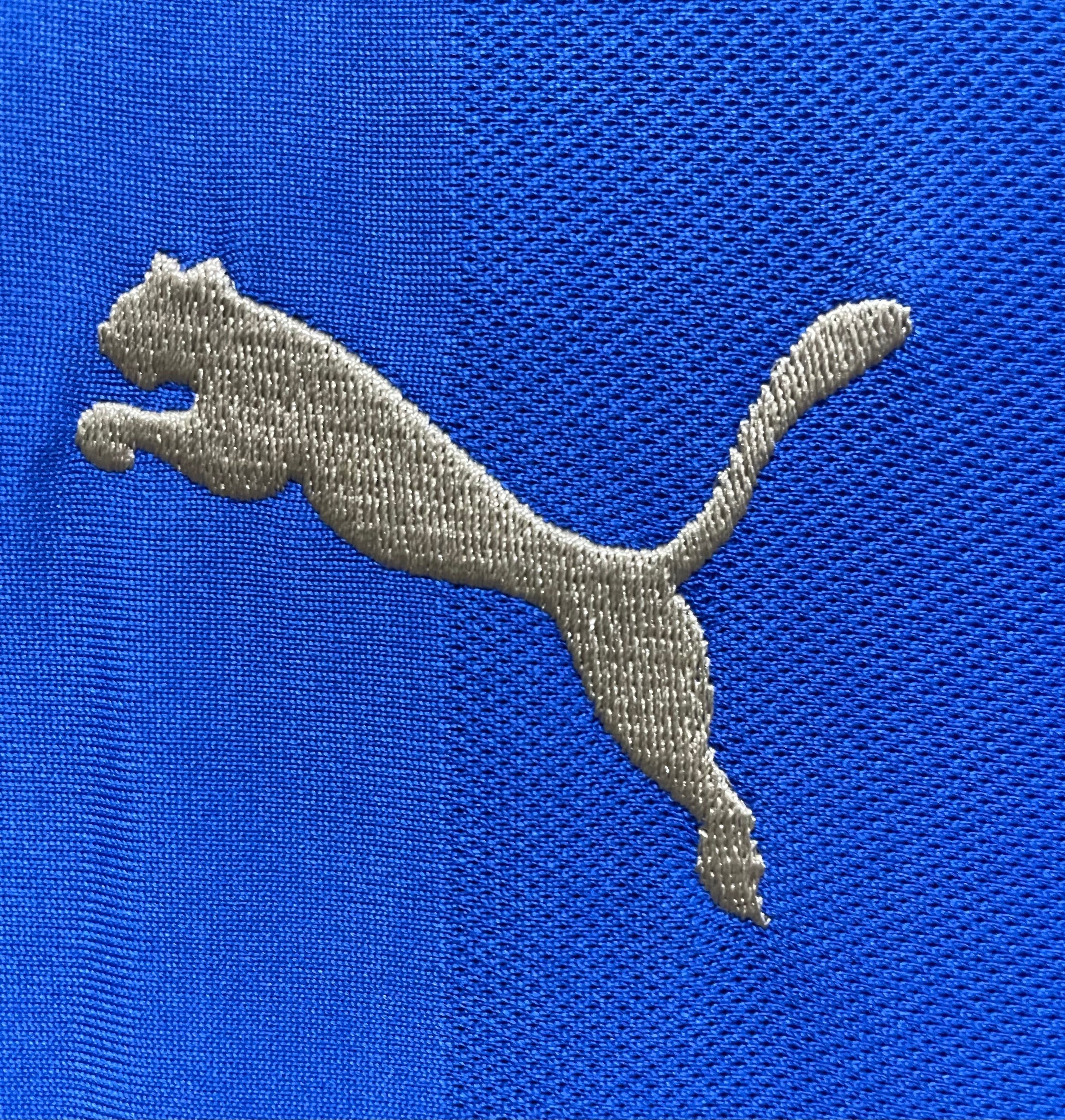 MAILLOT LEICESTER CITY DOMICILE 2015/2016