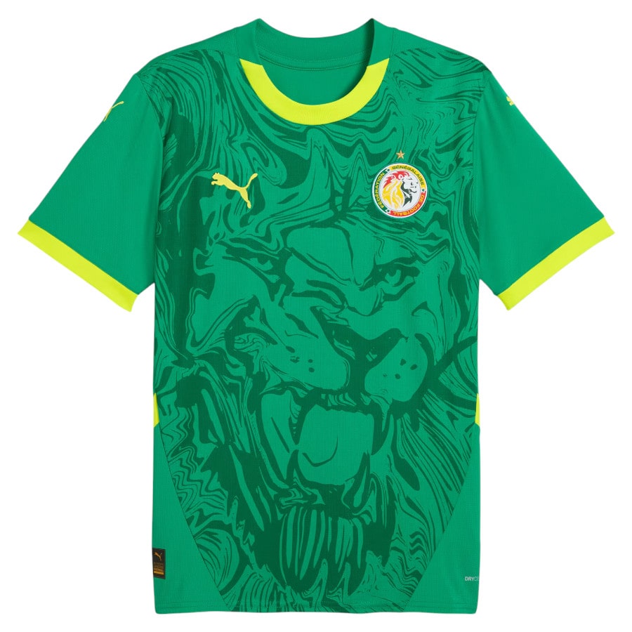 Maillot Senegal Homme Exterieur 2024 2025