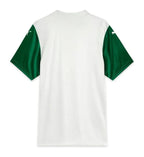 MAILLOT PALMEIRAS EXTERIEUR 2025